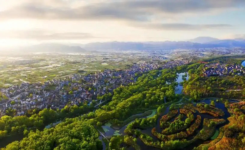 嘉興深化跨區域共保聯治 譜寫長三角生態綠色一體化新篇章